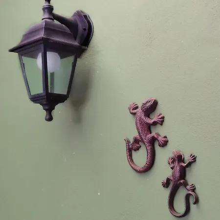 Casa Lagarto * El Paso